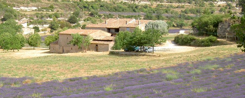 Provence: Châmbre d'hôte (logi)