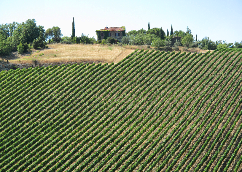 Toscana: Lige vinrækker