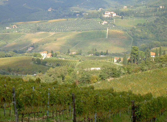 Toscana: Chianti Classico landskab