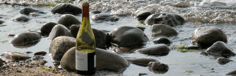 Vinflaske i strandkanten