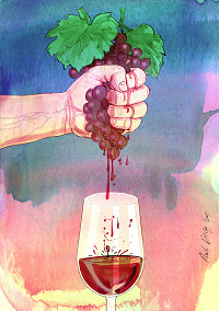 Håndpresning af druer