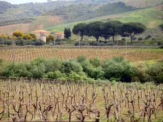 Vinmarker på det midterste Sicilien
