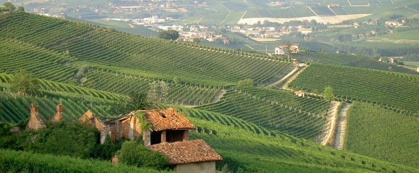 Piemonte: Landskab ved Barolo