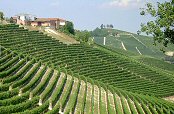 Landskab ved Fontanabianca<br>(vinproducent)
