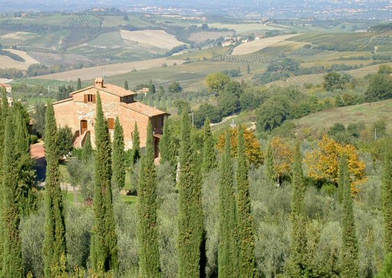 Chianti Classico: hus og landskab