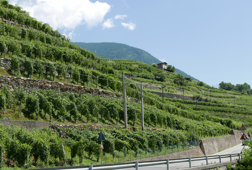 Valtellina vinmark