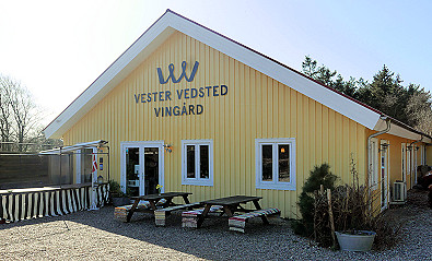 Vester Vedsted Vingård